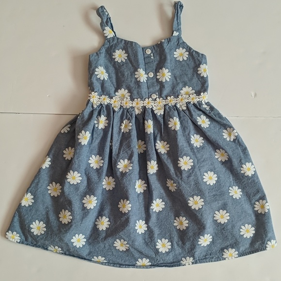 Basic Editions Other - Basic Editions Fits like 5 Blue Chambray Daisy